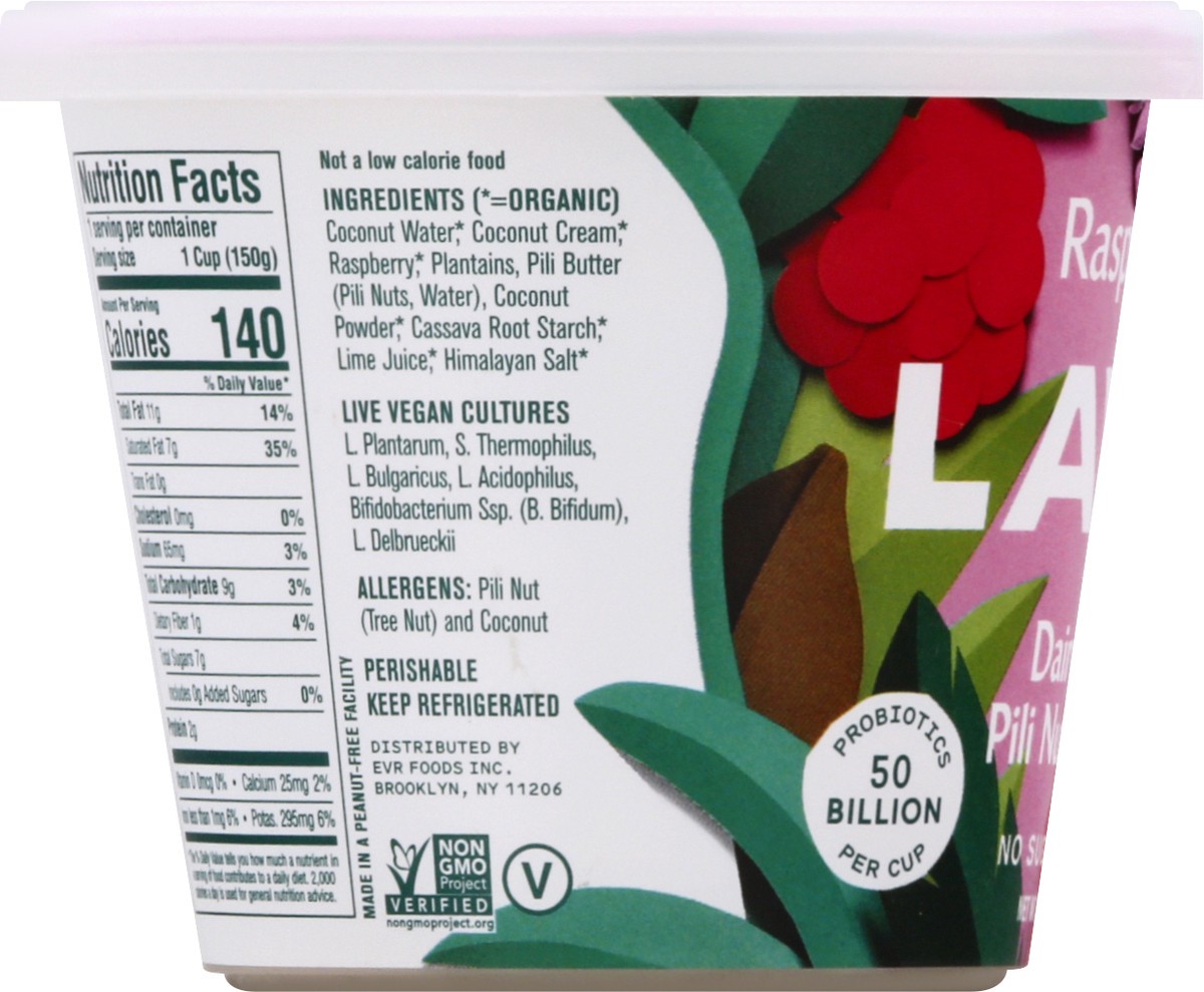 slide 6 of 11, Lavva Dairy Free Pili Nut Raspberry Yogurt 5.3 oz, 5.3 oz