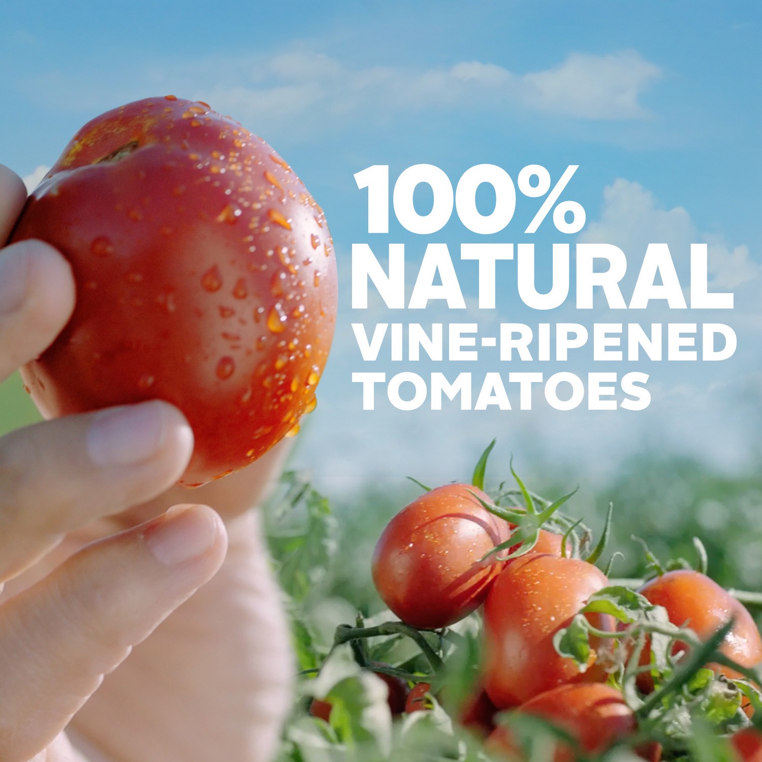 slide 3 of 5, Hunt's 100% Natural Tomato Sauce, Canned Tomato Sauce, 15 oz., 15 oz