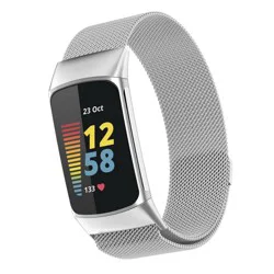WITHit Fitbit Charge 5 Silver Mesh Band
