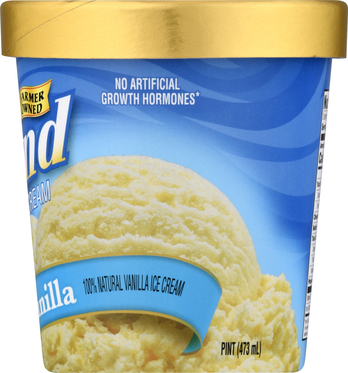 slide 5 of 9, Hiland Dairy Premium Vanilla Ice Cream 1 ea, 1 ct