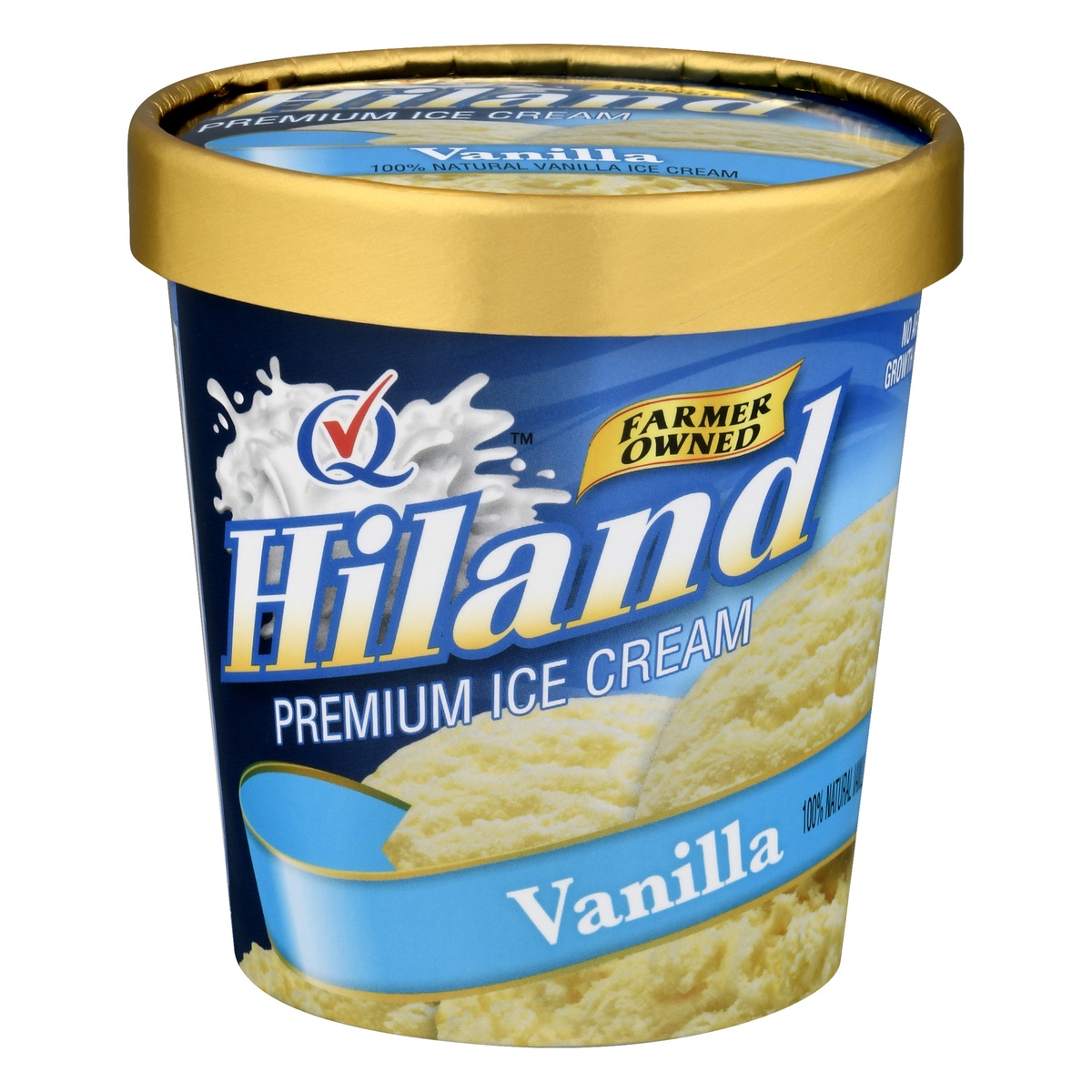 slide 1 of 10, Hiland Dairy Premium Ice Cream Vanilla, 1 pint