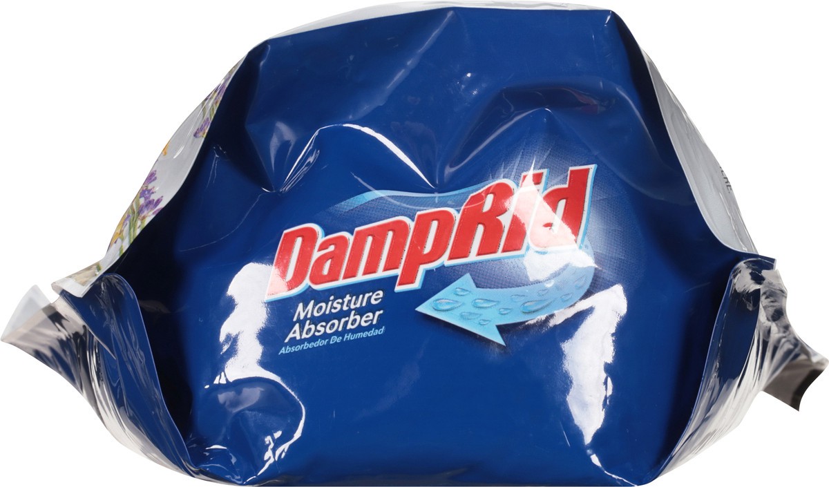 slide 4 of 12, DampRid DAMP RID REFILL BAG FRAGRANCE FREE, 42 oz