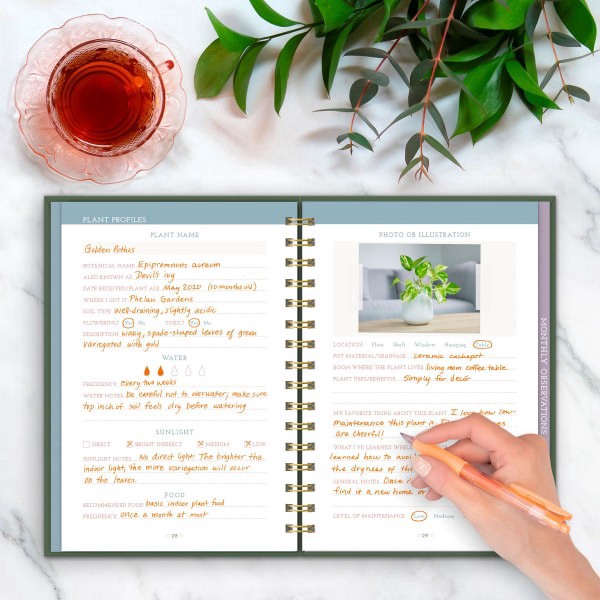 slide 13 of 17, Green Vibes Only Houseplant Journal, 1 ct