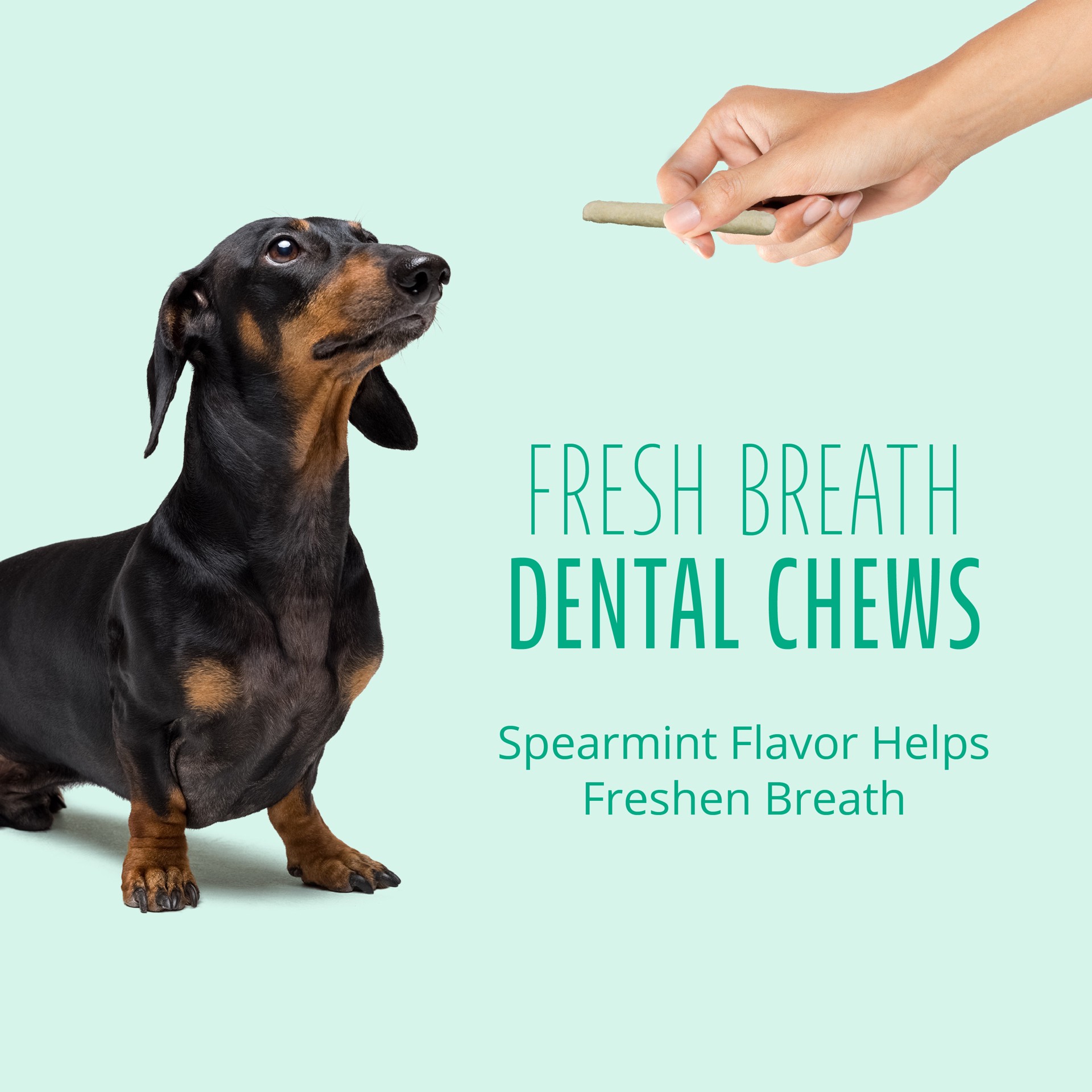 slide 10 of 10, Better Belly Fresh Breath Small Roll Chews for Dogs, 5.2 oz