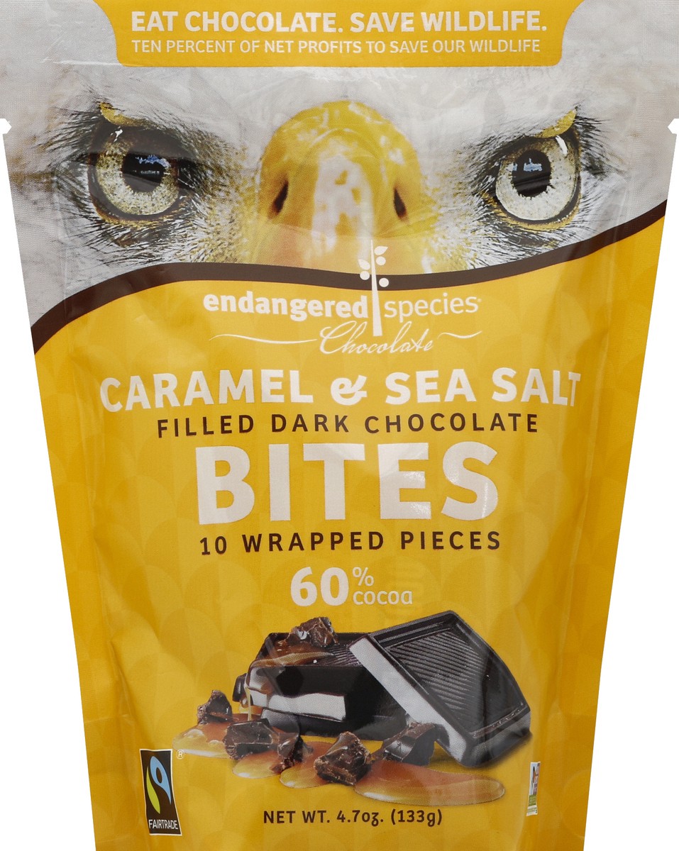 slide 2 of 2, Endangered Species Dark Chocolate Bites with Caramel and Sea Salt, 4.2 oz