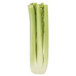 Celery 1 ea