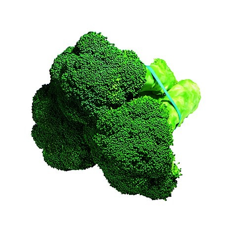 slide 1 of 1, Broccoli Regular, 1 bunch