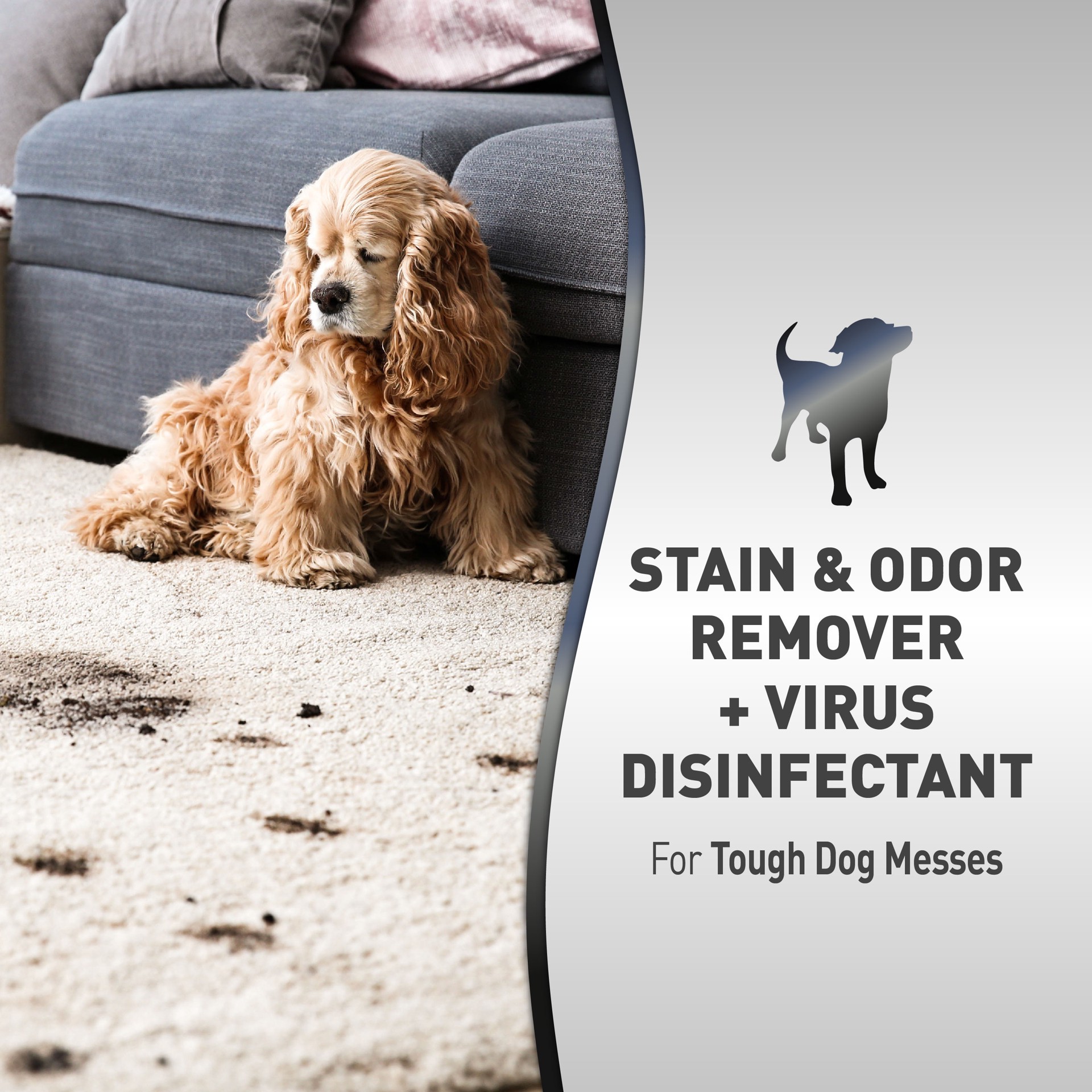 slide 2 of 8, Nature's Miracle Nature''s Miracle Advanced Platinum Stain And Odor Remover And Virus Disinfectant 64 Ounces, Eliminates Tough Dog Messes, 4.50 lb