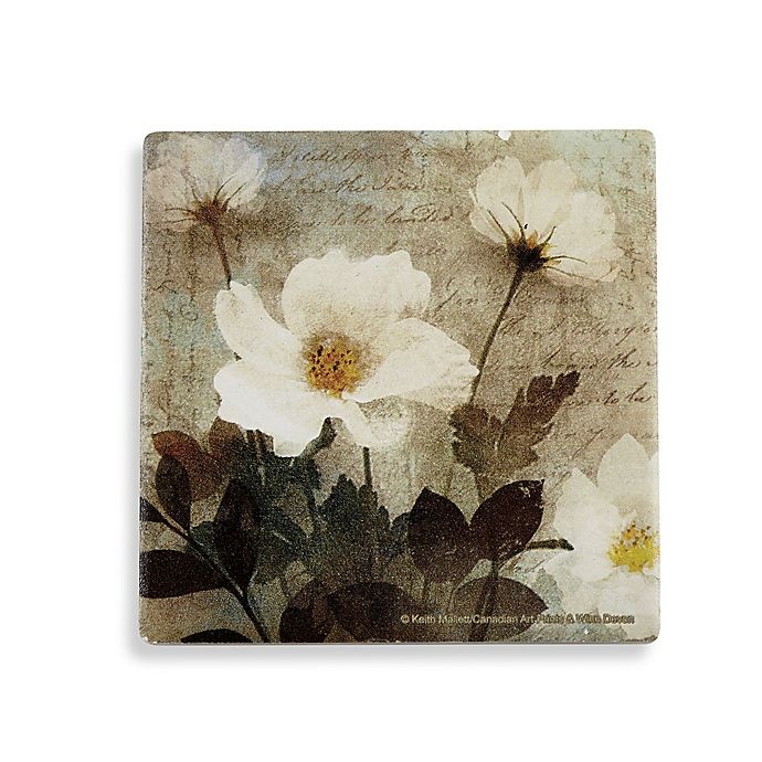 slide 1 of 1, Thirstystone Anemone Coaster Set, 4 ct