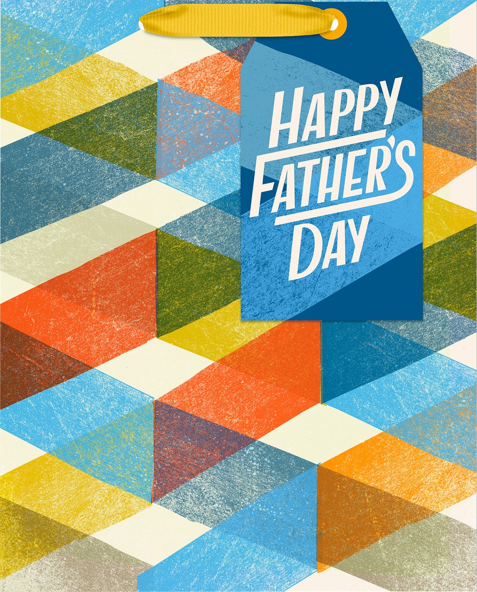 slide 5 of 6, Hallmark 13" Large Father's Day Gift Bag (Modern Plaid), 1 ct