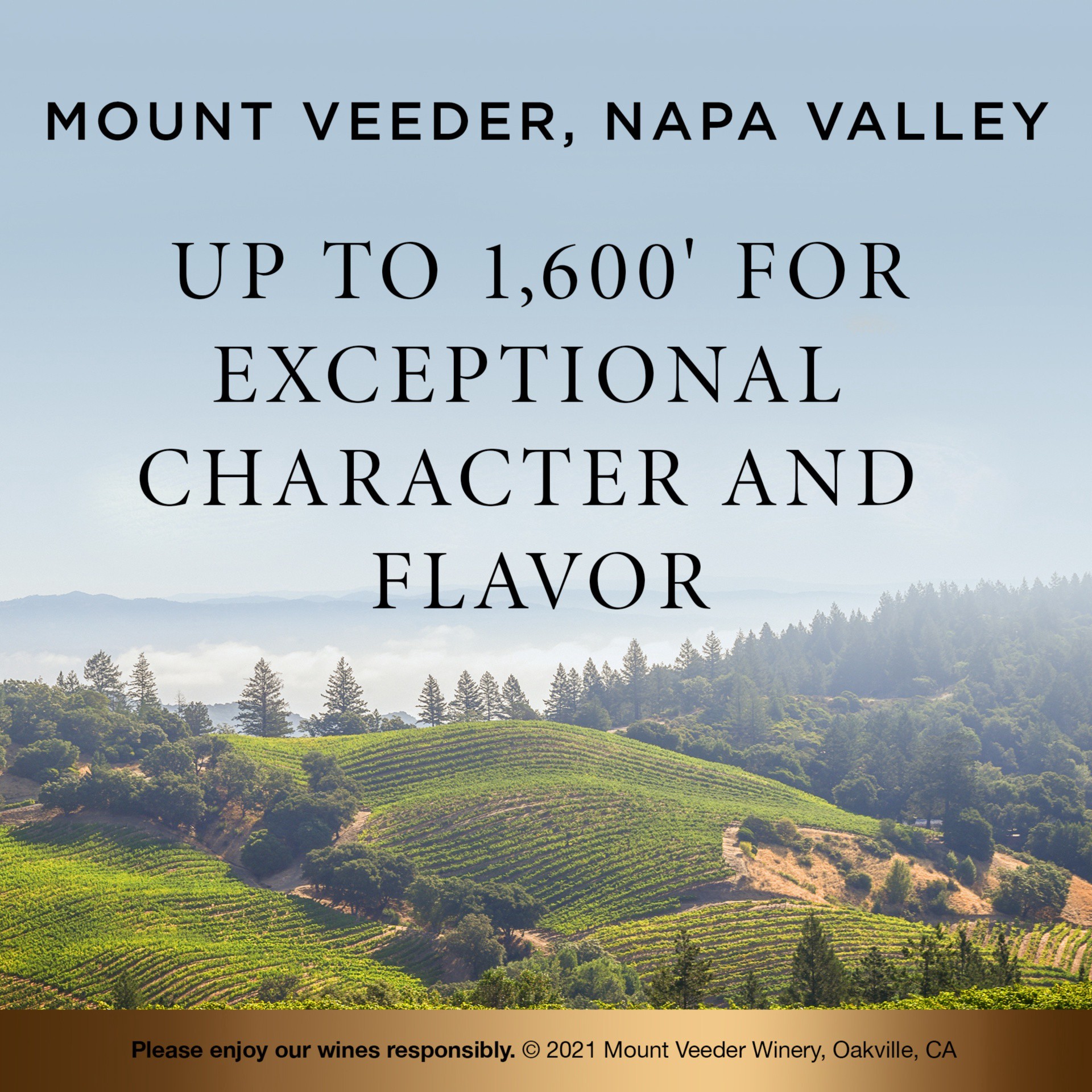 slide 4 of 6, Mount Veeder Napa Valley Cabernet Sauvignon Red Wine, 750 mL Bottle, 25.36 fl oz