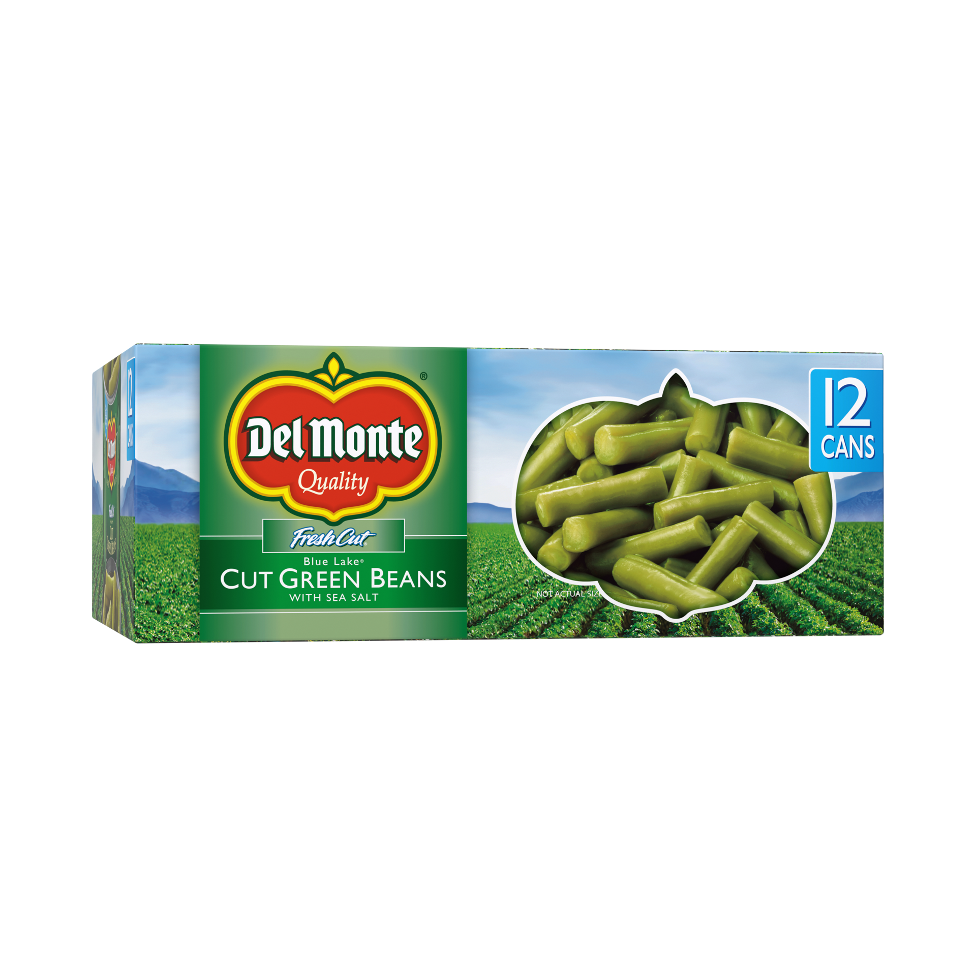 slide 1 of 5, Del Monte Fresh Cut Blue Lake Cut Green Beans 1/12-14.5 Oz. Cans, 10.88 lb