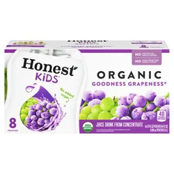 Honest Kids Goodness Grapeness Pouches- 8 ct