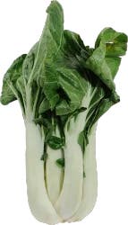 Organic Bok Choy