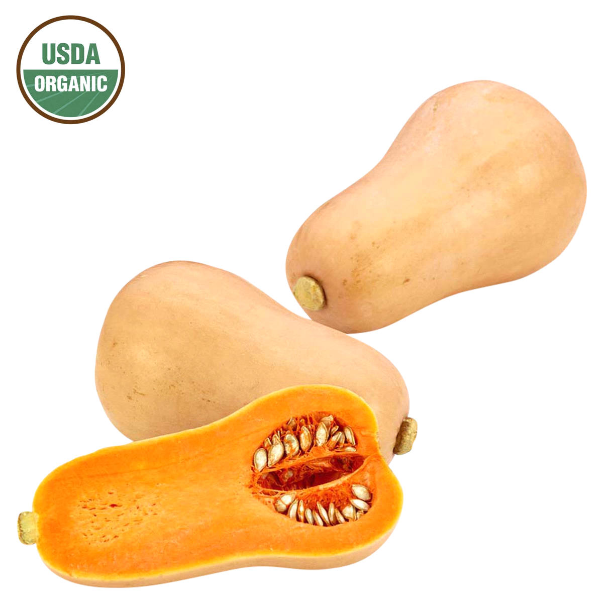 slide 1 of 1, Organic Butternut Squash, 1 ct