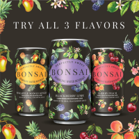 slide 14 of 25, BONSAI™ sparkling beverage Bonsai Mango Pineapple Ginger Sweetened Sparkling Water, 12 fl oz cans, 8 pack, 8 ct