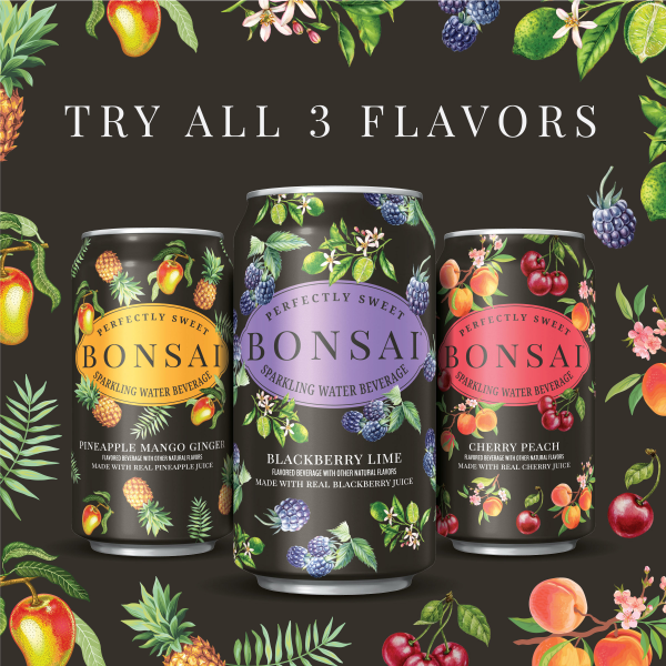slide 3 of 25, BONSAI™ sparkling beverage Bonsai Mango Pineapple Ginger Sweetened Sparkling Water, 12 fl oz cans, 8 pack, 8 ct