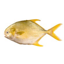 slide 1 of 1, Costar Whole Golden Pompano 10, 160 oz