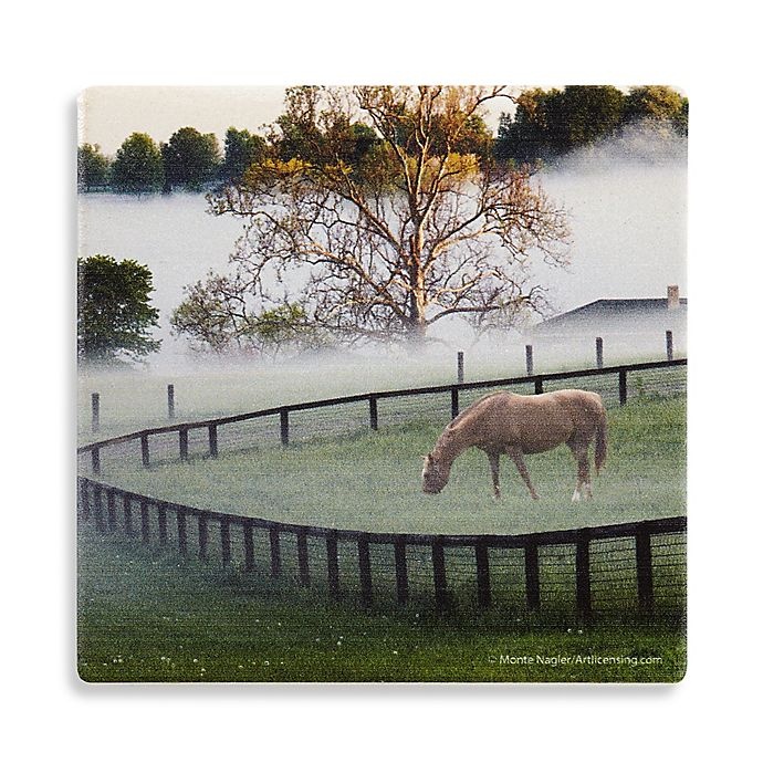 slide 1 of 1, Thirstystone Dolomite Kentucky Horse - the Mist Single Round Coaster, 1 ct