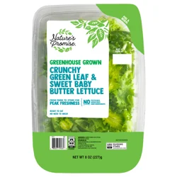 Nature's Promise Greenhouse Grown Crunchy Green Leaf & Sweet Baby Lettuce