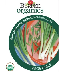 Burpee Organic Onion Bunching Evergreen Long White