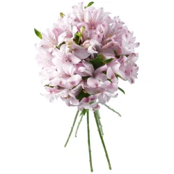 Store Brand Alstroemeria Pink