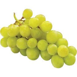 Green Seedless Grapes