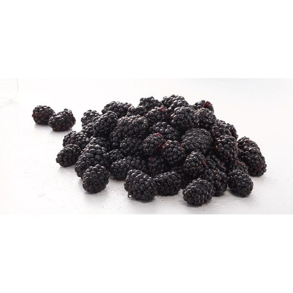slide 1 of 1, Blackberries, 6 oz