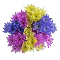 Razzle Dazzle Daisy Bouquet (Where Available)