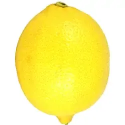 Fresh Small Lemons