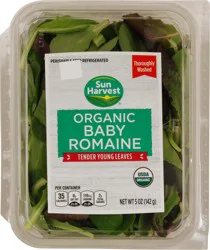 Sun Harvest Organic Baby Romaine
