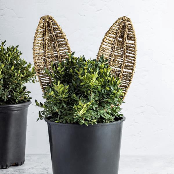 slide 1 of 1, Woven Bunny Ear Stake, 1 ct