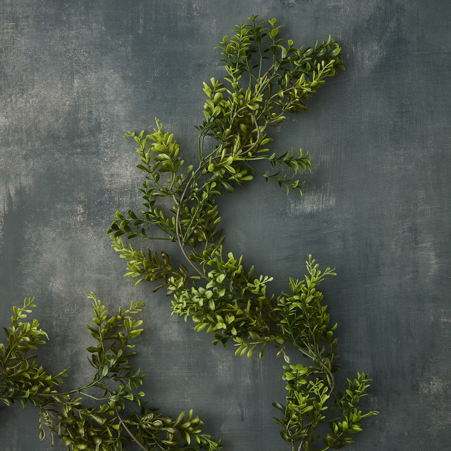 slide 2 of 3, 6ft. Dark Green Boxwood Garland By Ashland, 6 ft