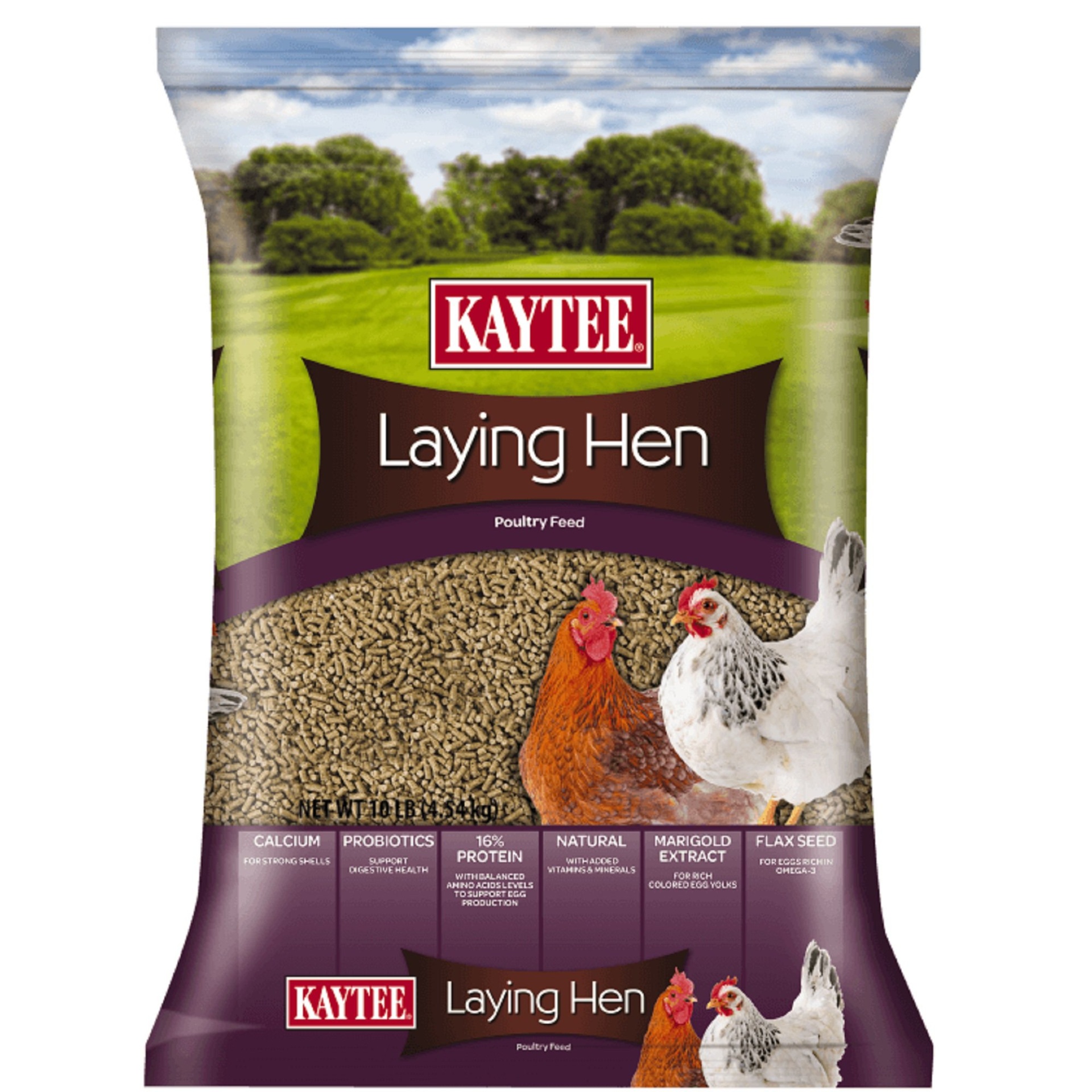slide 1 of 1, Kaytee Laying Hen Diet for Birds, 10 lb