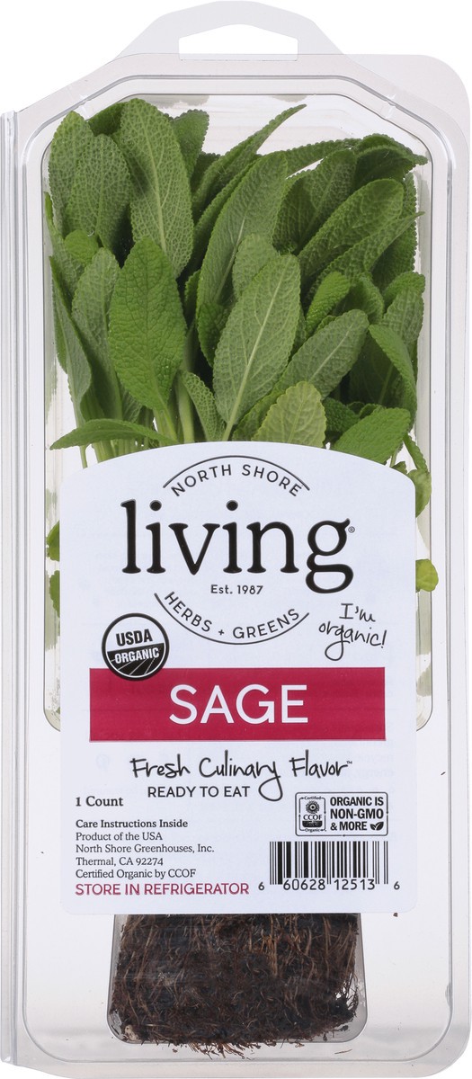 slide 5 of 7, North Shore Living Herbs Sage 1 ea, 