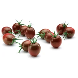 SUNSET Kumato Tomatoes