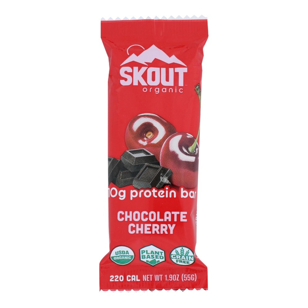 slide 1 of 1, Skout Backcountry Organic Plant Based Dark Chocolate Cherry Protein Bar, 1.9 oz