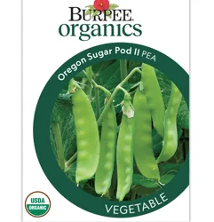 Burpee Organic Pea Snow Oregon Sugar Pod II