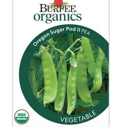 Burpee Organic Pea Snow Oregon Sugar Pod II