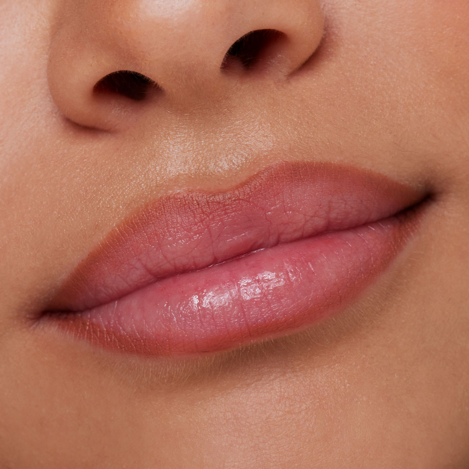 slide 4 of 4, Essence 8h Matte Comfort Lipliner, Cinnamon Spice 01, 0.01oz, 0.01 oz