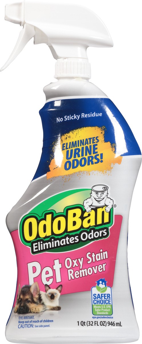 slide 4 of 12, OdoBan Pet Oxy Stain Remover 32 fl oz, 32 oz