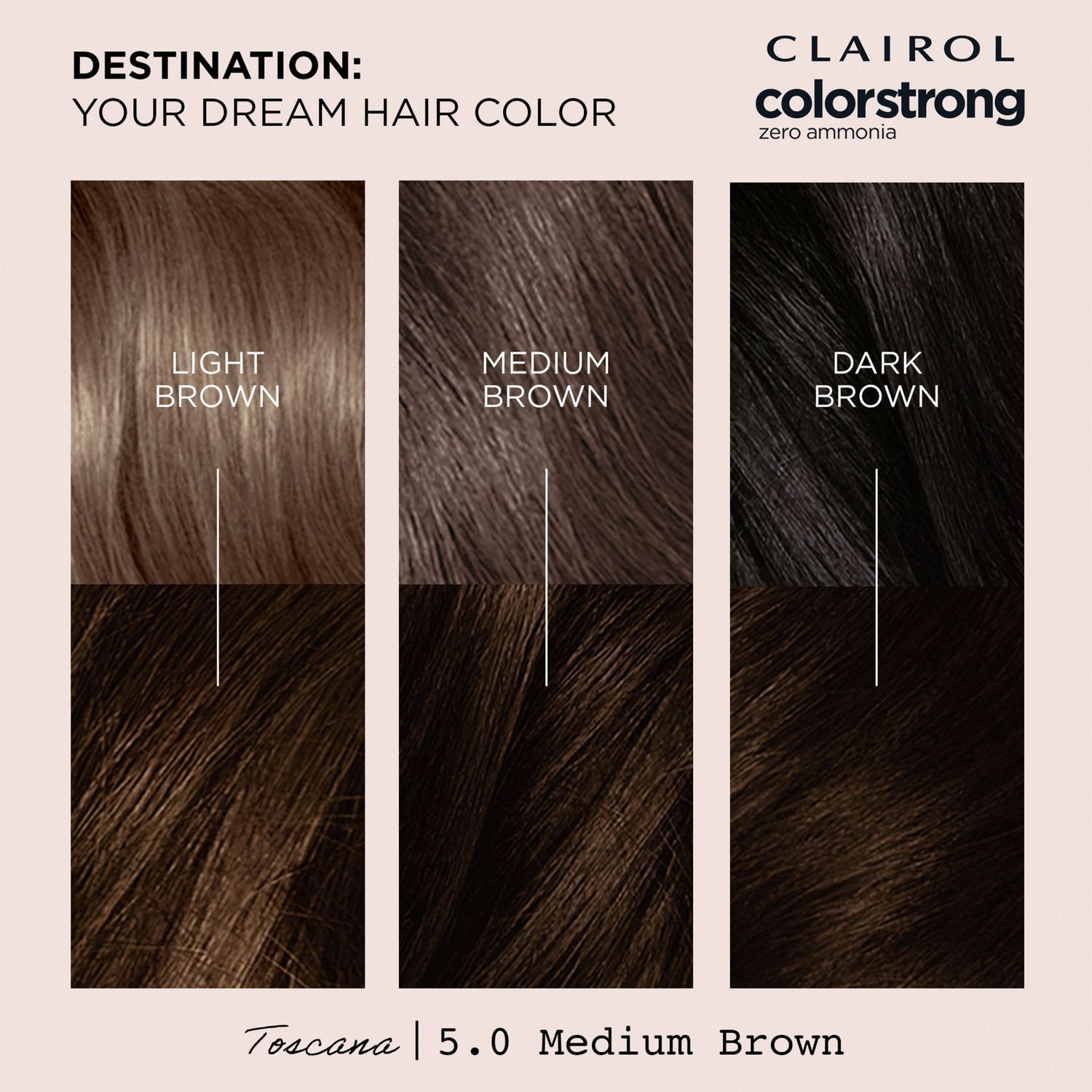 slide 3 of 7, Clairol ColorStrong 5.0 Medium Brown Toscana, 1 ct
