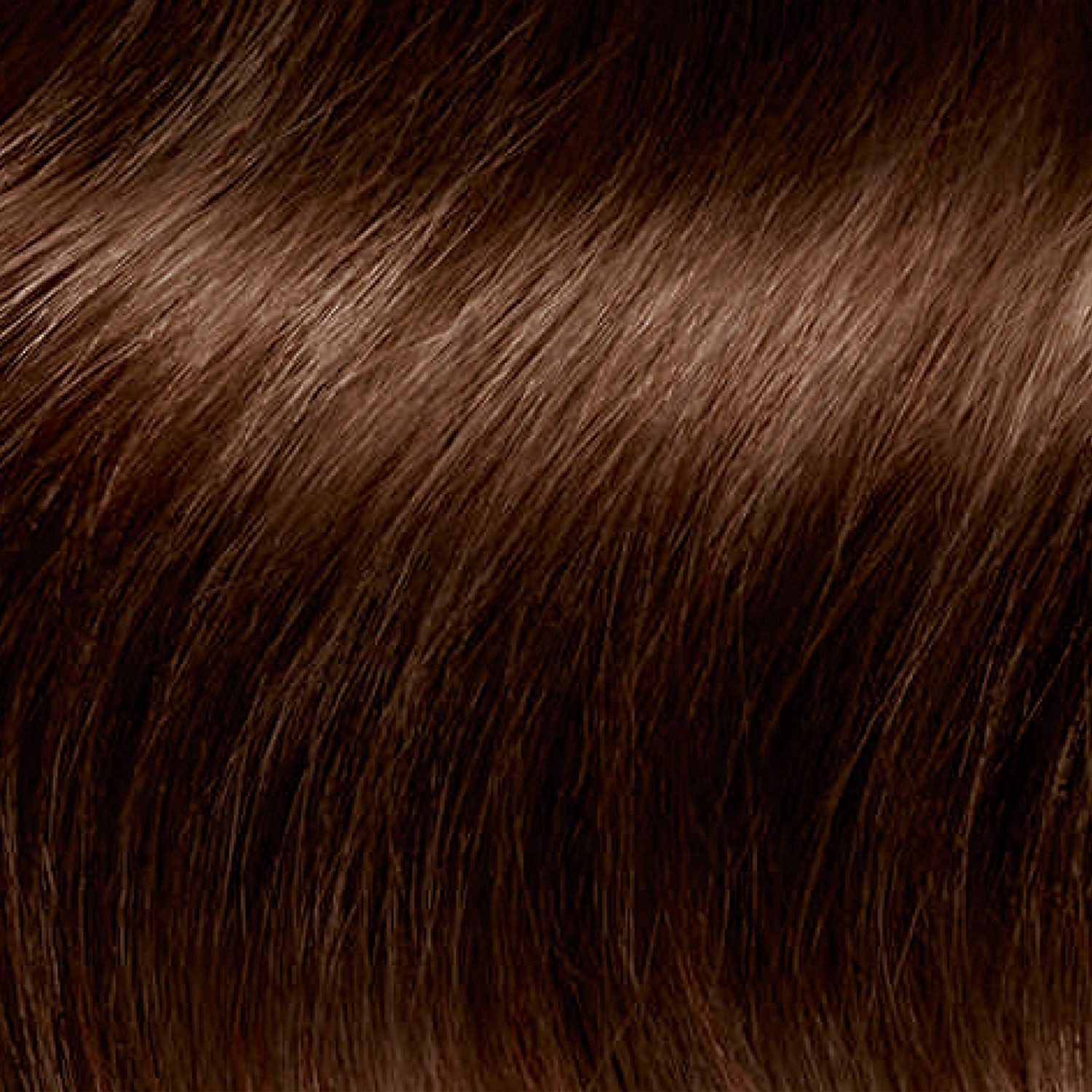 slide 7 of 7, Clairol ColorStrong 5.0 Medium Brown Toscana, 1 ct