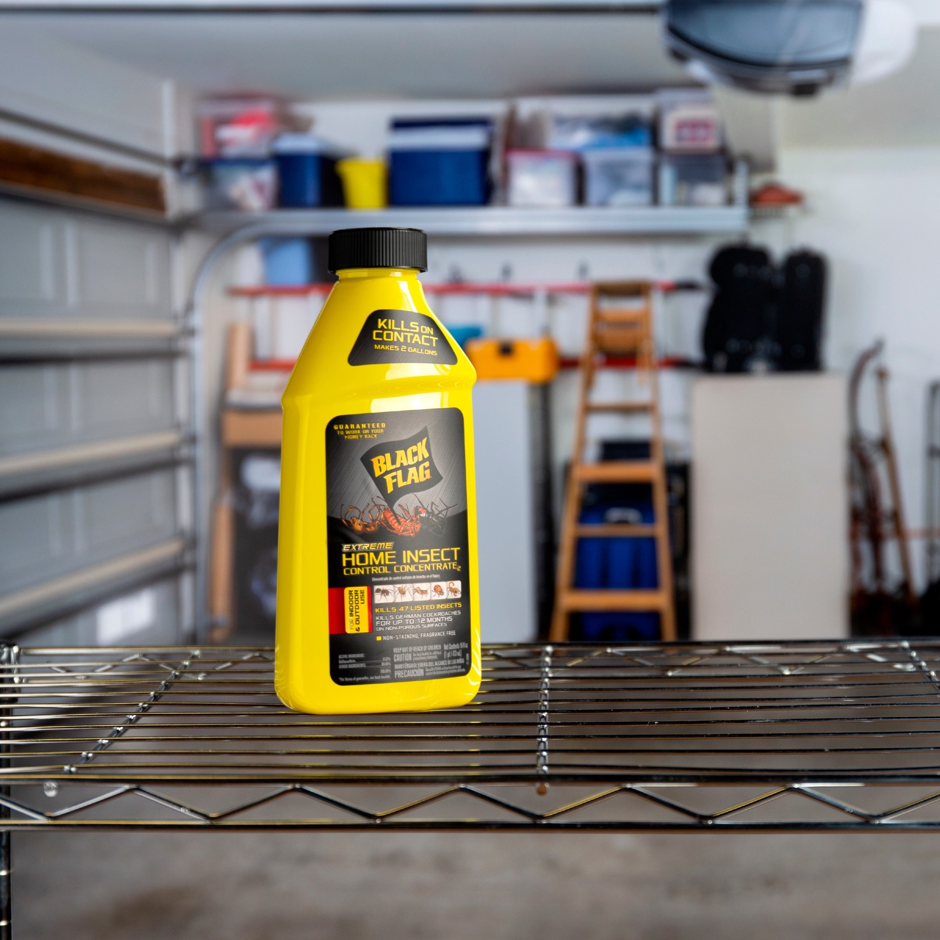 slide 5 of 5, BLACK FLAG EXTREME Home Insect Control 16 -fl oz Concentrate Insect killer, 1 ct