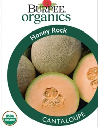 Burpee Organic Cantaloupe Honey Rock