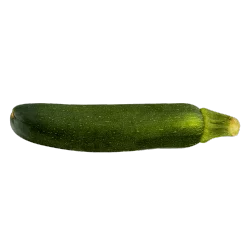 Italian Squash