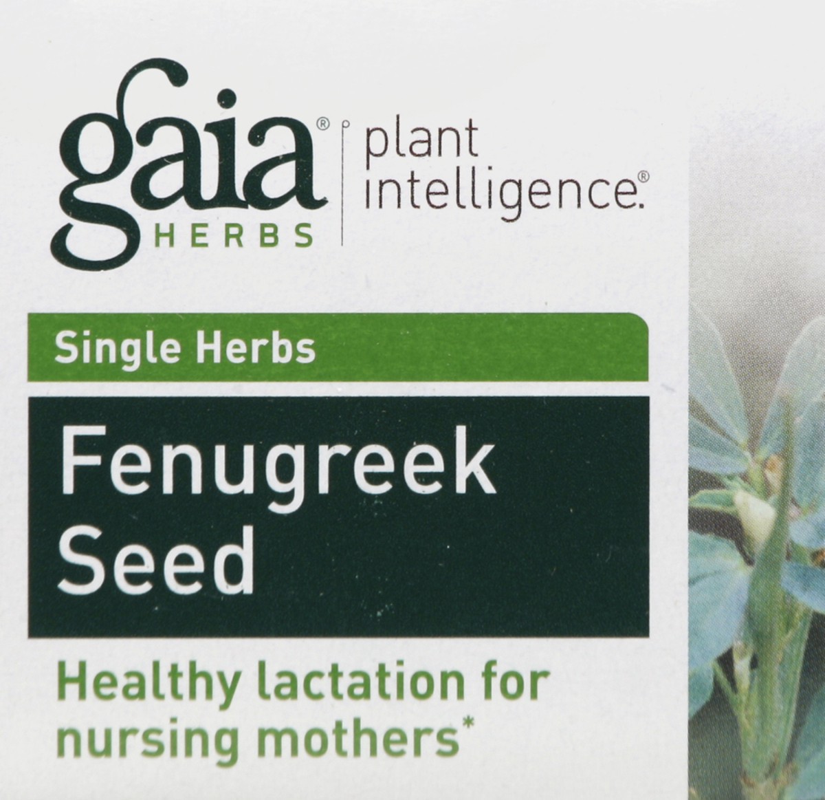 slide 4 of 4, Gaia Fenugreek Seed 60 ea, 60 ct