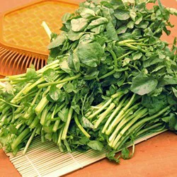 Shoulder Round Bone Veal Chops