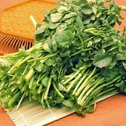 Shoulder Round Bone Veal Chops