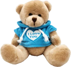 Holiday Home Brown Bear with Blue Hoodie Plush